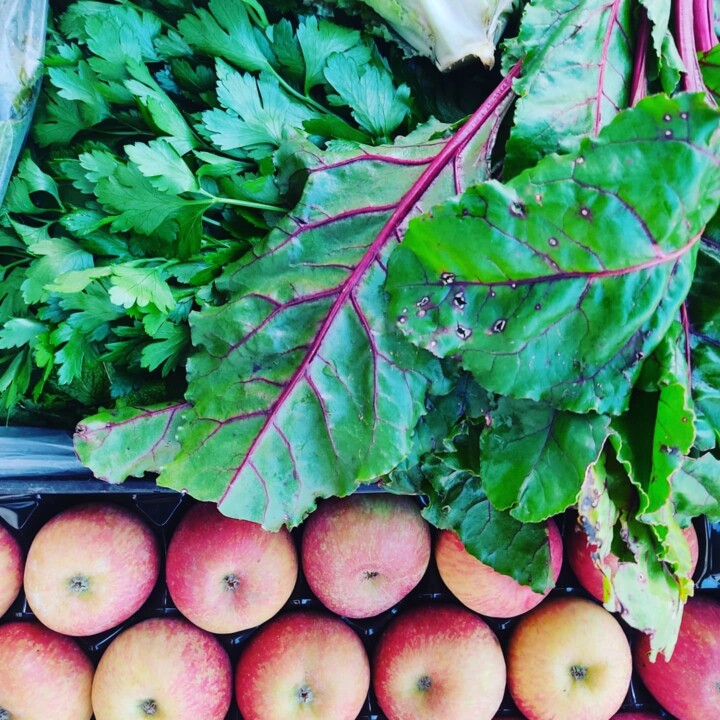 498446706_18478321801066958_4027586918406930904_n.