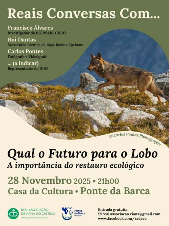 571330544_831809346265115_2987542832985010779_n.jp