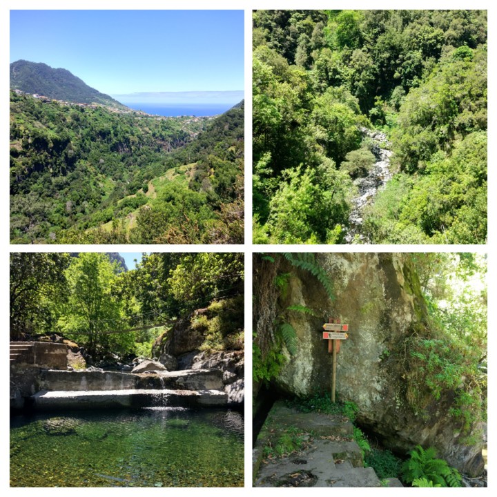 IMG-20210517-WA0016-COLLAGE.jpg IMG-20210517-WA0016-COLLAGE.jpg