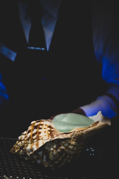 b5543de6-7ce2-4806-95bc-51af46b88a80 - Cópia.jpg b5543de6-7ce2-4806-95bc-51af46b88a80 - Cópia.jpg