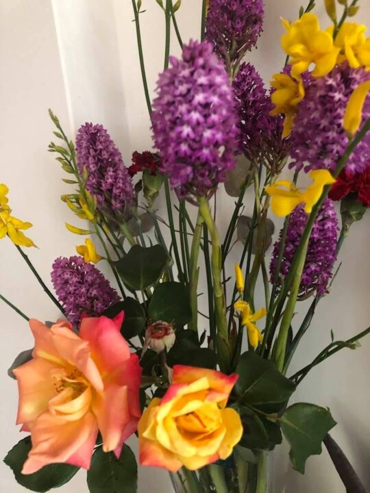 181634243_10220678351094670_2104902390722225125_n.