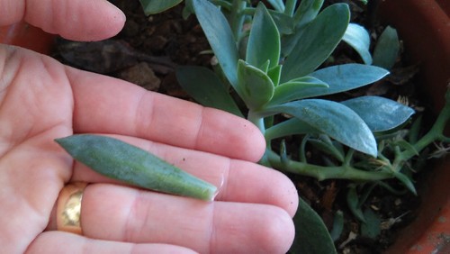 20160719_123307.jpg 20160719_123307.jpg