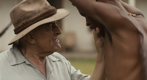 nico ilha cÃ£es.jpg