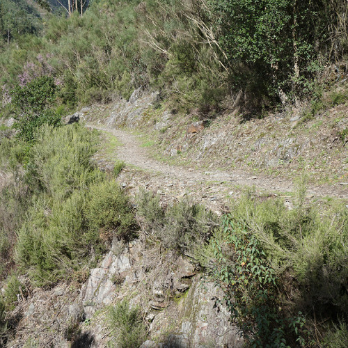 DSC02957.JPG DSC02957.JPG