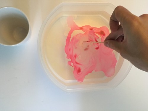 IMG_8818.jpeg IMG_8818.jpeg