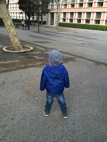 IMG_7078.JPG.jpeg IMG_7078.JPG.jpeg