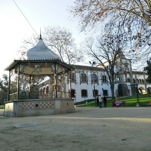 COPYRIGHT O RAPAZ DAS ILHAS