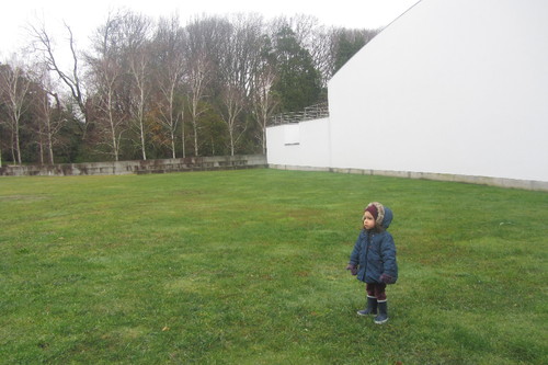 IMG_1806.JPG IMG_1806.JPG