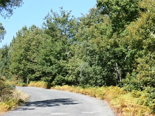 loriga, torroselo, seixo,etc. 024.jpg