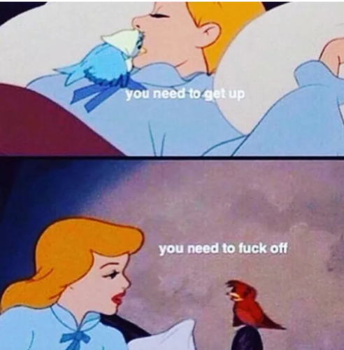 Captura de ecrã 2017-09-05, às 12.35.46.png