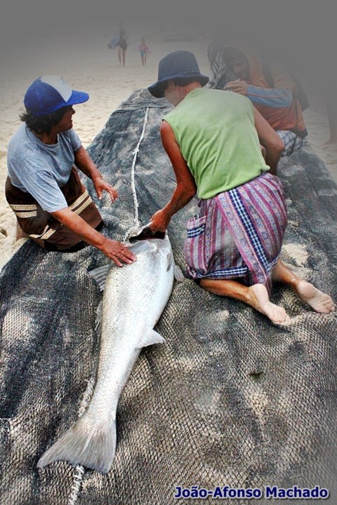 ABERTURA REDES (2).JPG