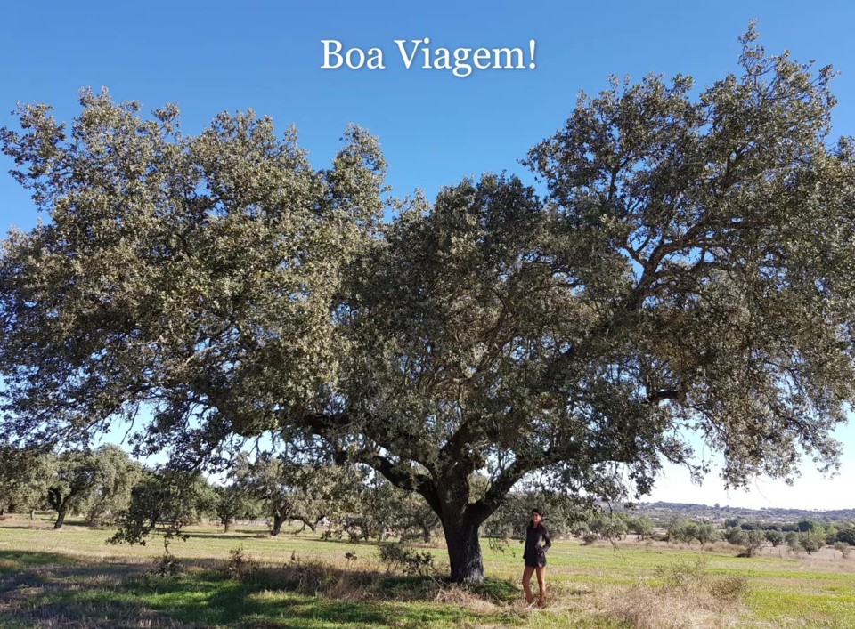 20201012_105832_Moment (2).jpg