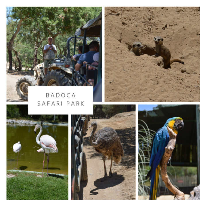 TRÊS MARIAS (2).png TRÊS MARIAS (2).png