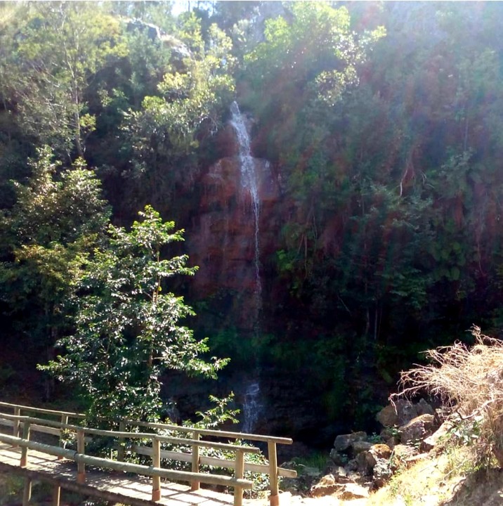 20201107_084046.jpg 20201107_084046.jpg