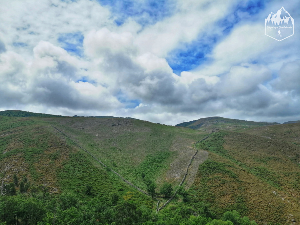 Photo_1597132433784.jpg Photo_1597132433784.jpg