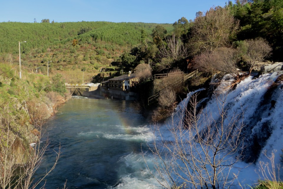 IMG_8312.JPG IMG_8312.JPG