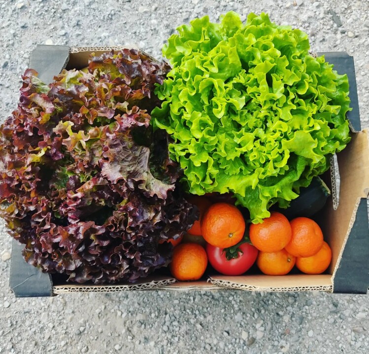 401853664_723551146468965_2473130828665032654_n.jp