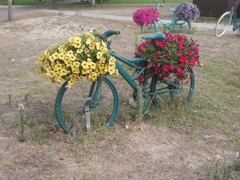 06a_Manhã_Praia_de_Mira (54).JPG