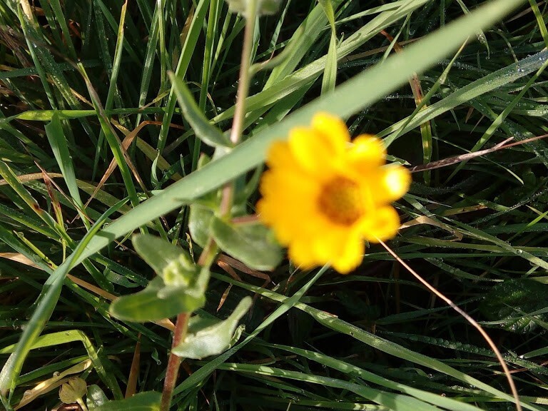 81476395_2806078426090373_5485126785538457600_n.jp