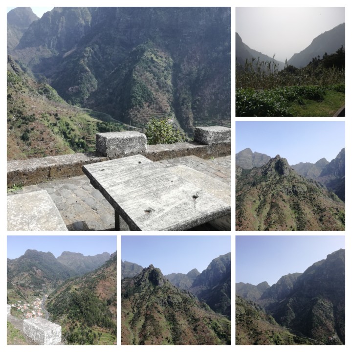 IMG_20200225_144405-COLLAGE.jpg IMG_20200225_144405-COLLAGE.jpg