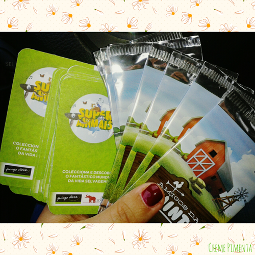 colecções.png colecções.png