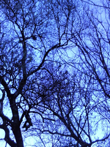 Foto original DAPL Parque Gulbenkian. 2015.jpg