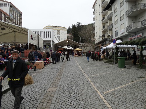 Feira do Queijo Em Seia !!! 036.jpg