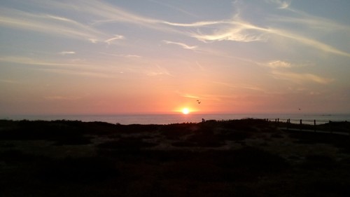 19863127_OF59K.jpeg 19863127_OF59K.jpeg