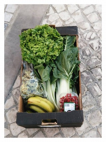 13654233_730597447080019_2681361081433086301_n.jpg 13654233_730597447080019_2681361081433086301_n.jpg