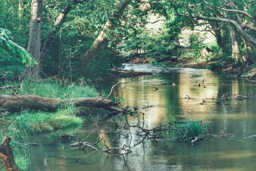 22221647_10214606758192726_5371138192170565835_n.j