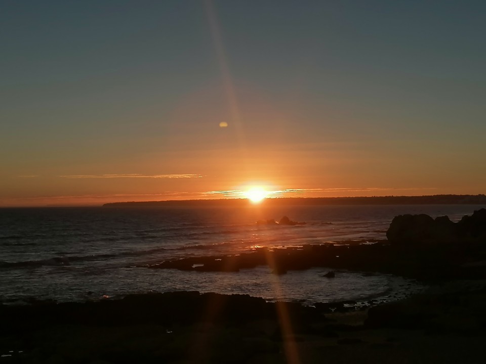 IMG_20200819_201426.jpg IMG_20200819_201426.jpg