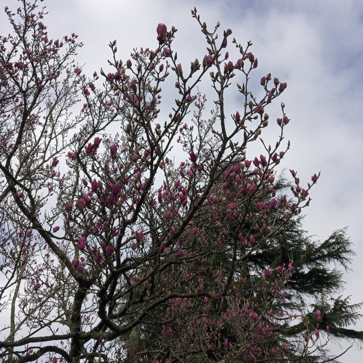 152361403_224138766090315_2084857189206331358_n.jp