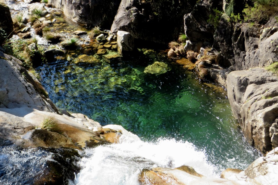 IMG_4762.JPG IMG_4762.JPG