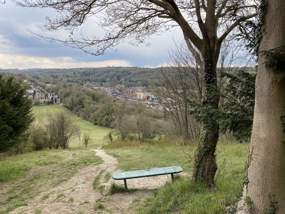 bluebells-walk16.jpeg bluebells-walk16.jpeg