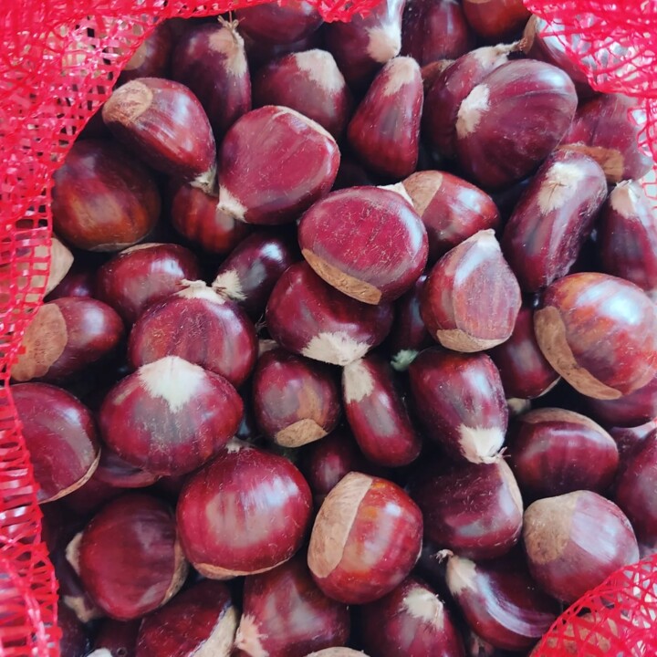 396693552_714762614014485_1140046143574164156_n.jp