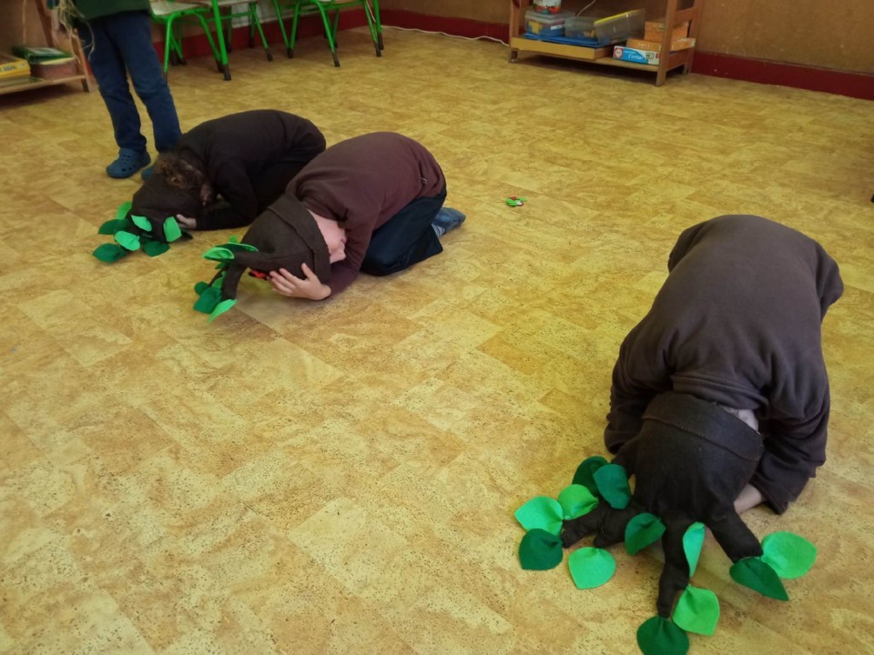 123502226_354050802534295_2321179012986942270_n.jp