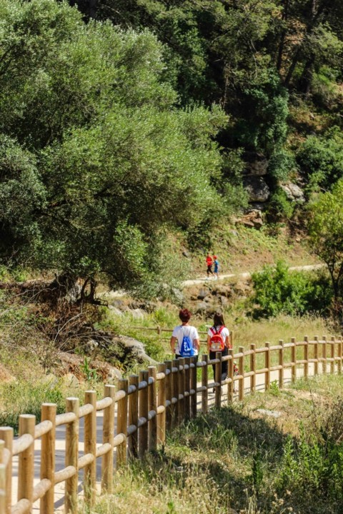 trilho-1-4 (683x1024).jpg