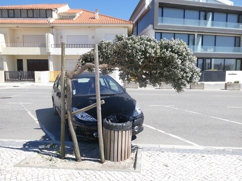 29c_Praia_de_Mira (11).JPG
