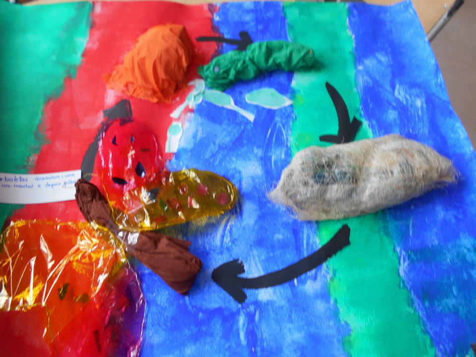 DSCN0935.JPG DSCN0935.JPG