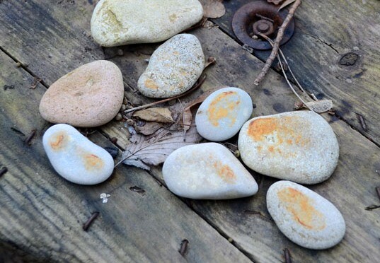 Conversas com a natureza.jpg