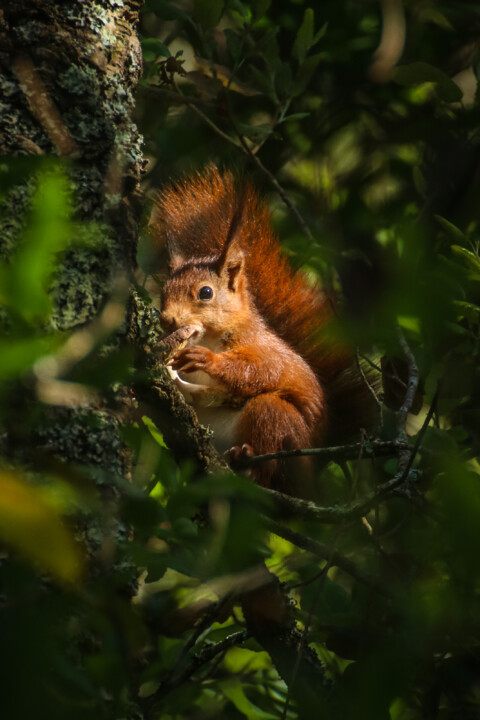 biodiversidade 1.jpg