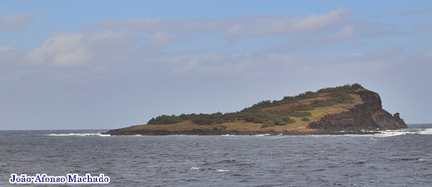 ILHÉU DA PRAIA.JPG