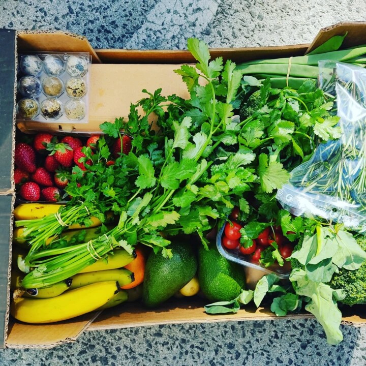 481297476_18463067863066958_5505558424404008605_n.