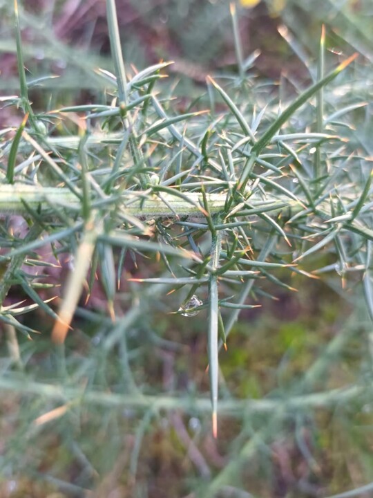 Não me canso disto Inverno 7.jpg