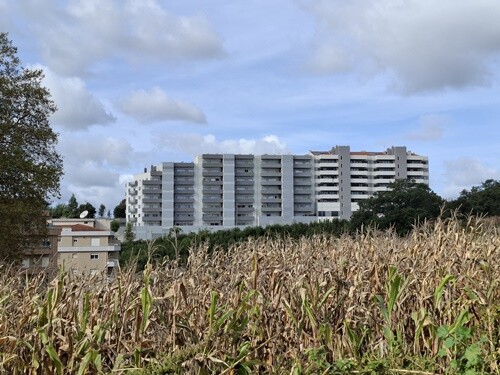 02b_Oliveira_de_Azeméis (20).jpg