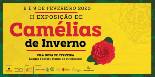 Exposição Camélias - Vila Nova Cerveira - 2020 