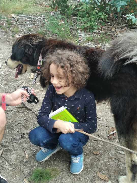 não_me_canso_disto_mini_dicionário.jpg não_me_canso_disto_mini_dicionário.jpg