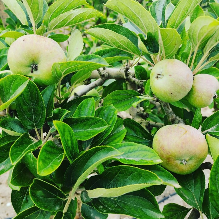 448548600_854259656731446_1717123126172375365_n.jp