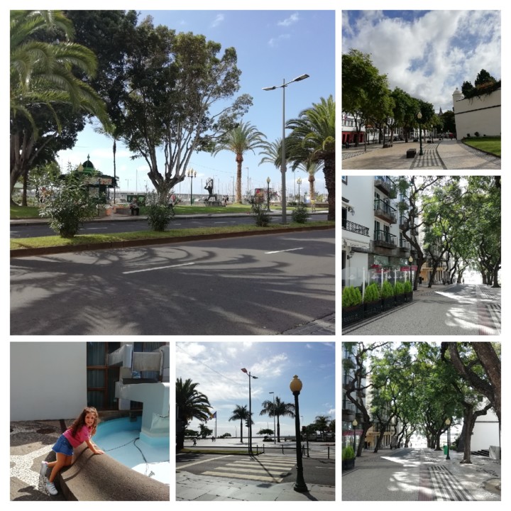 IMG_20201011_114811-COLLAGE.jpg IMG_20201011_114811-COLLAGE.jpg