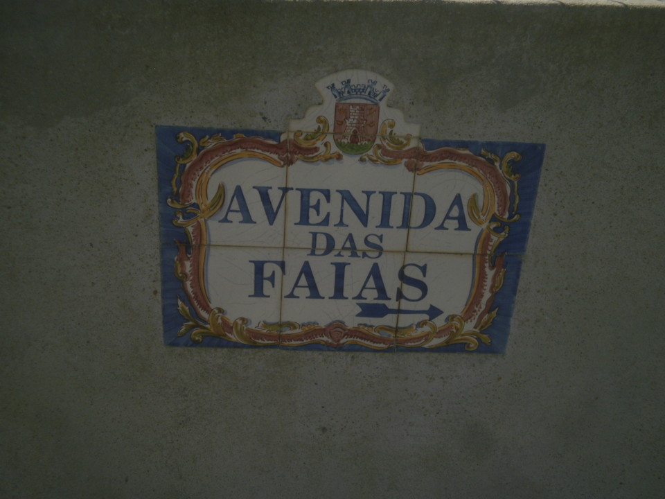 P4237934.JPG P4237934.JPG